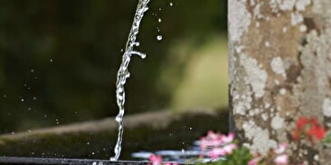 Wandelroute H17: De fonteinen van Saales