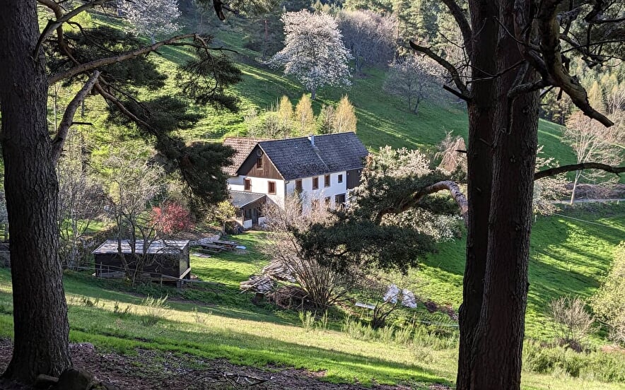 Madame BALL Emeline - Ferme du petit Hohnack