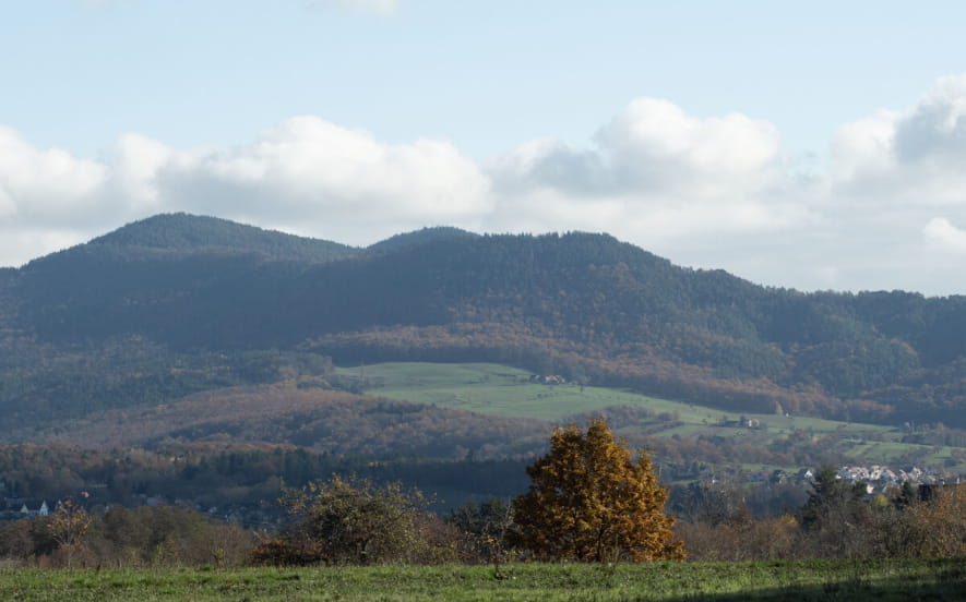 Gîte n°2 Monsieur Robert HOLLECKER