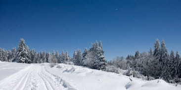 LANGLAUFGEBIED LE HAUT DU TÔT