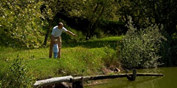Wandelroute H15: Rond het Etang de Steige