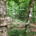 Circuit de randonnée pédestre - Des pierres et des étangs