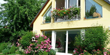 Gîte Les Euphorbes