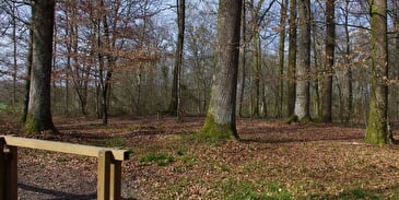 Parcours de santé à St Sauveur