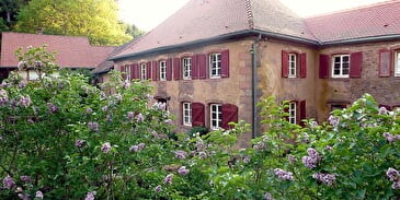 Thematisch pad: Het pad van het mennonitische erfgoed