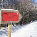 Ski de fond au Schnepfenried