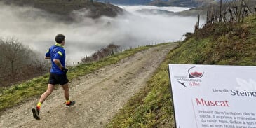 Trail de Wurzel