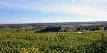 Aire de camping-cars - Domaine Xavier Schneider