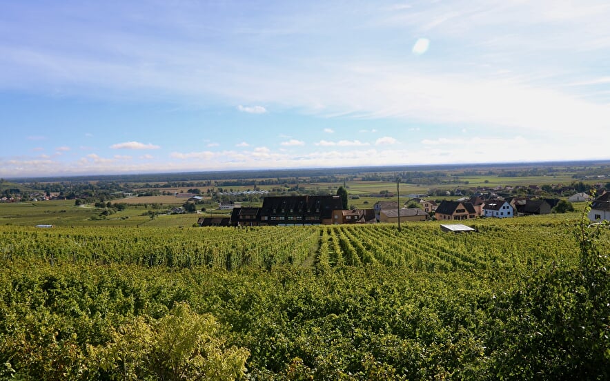 Aire de camping-cars - Domaine Xavier Schneider