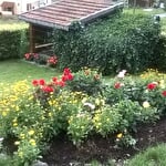 Gîte Rural du Maillebourg