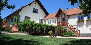 Gîte Rose des Vignes - Jardin