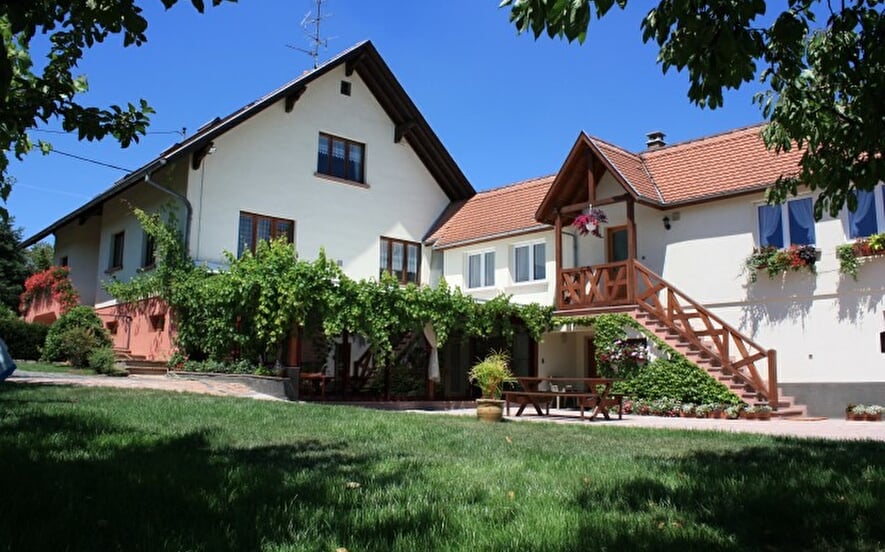 Gîte Rose des Vignes - Jardin