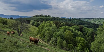 Wandelroute H12: Van Haut-Ranrupt naar Hauts-Bois