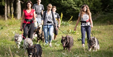 La Légende du Loup Noir 