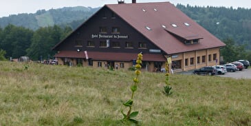 Hôtel "du Sommet" **