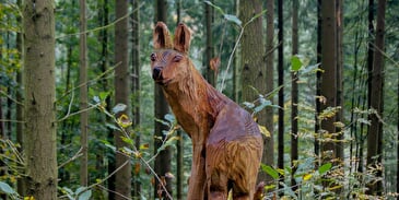 Balade famille : Le sentier de la forêt enchantée à Fouday
