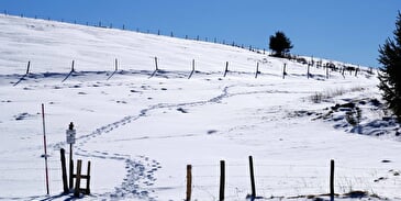Luge aux Bagenelles