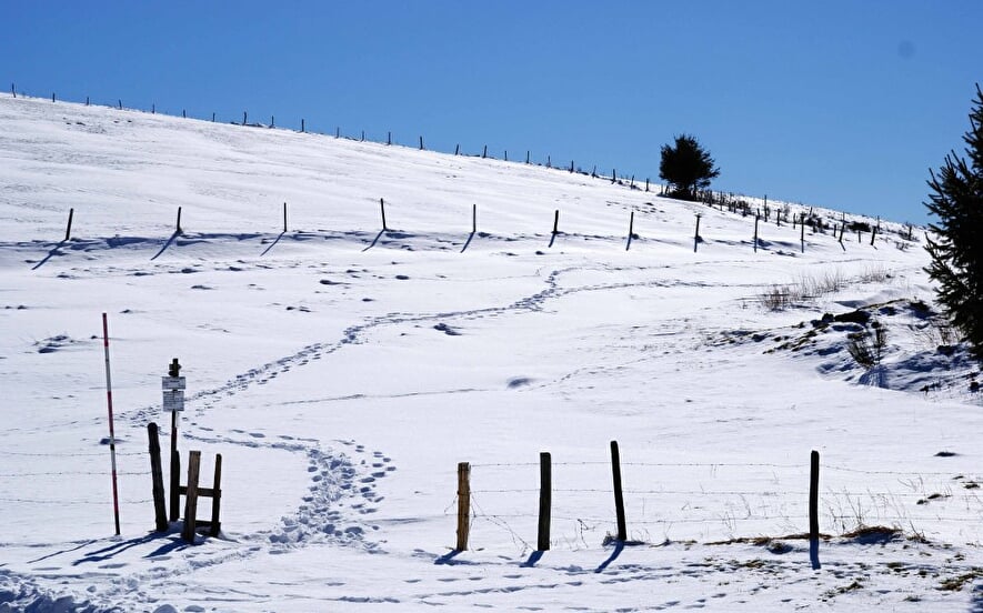 Luge aux Bagenelles