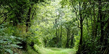 Wandelroute C09: Panoramisch pad