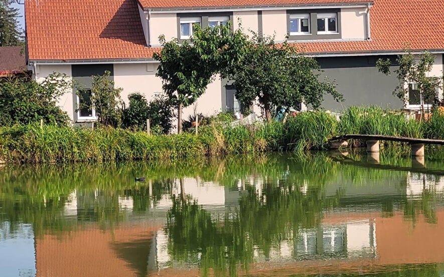 Gîtes de la Petitefontaine