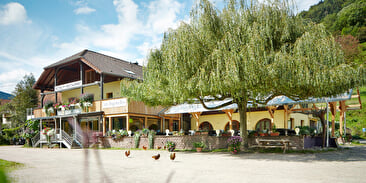 Hôtel - Restaurant 'Auberge Les Bagenelles'