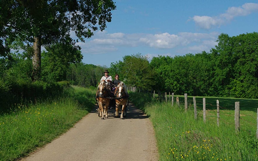 Attelage du Pays des Fontaines