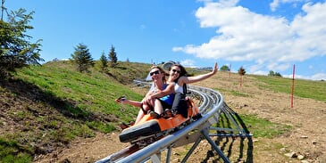 Luge sur rail au Markstein