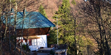 Refuge AAVM