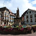 Les Vignes d'Eguisheim - William PERY