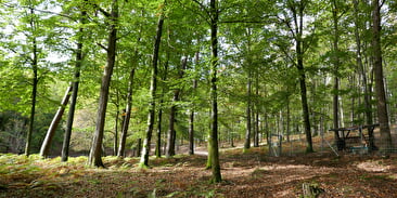 Parcours de Santé