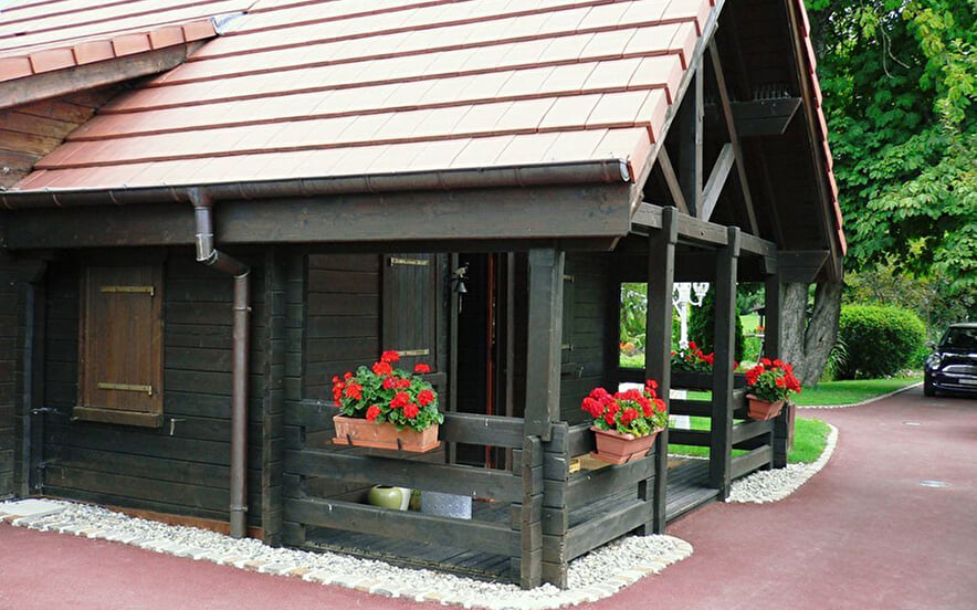 Chalet du lion