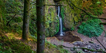Wandelroute B16: De waterval van Soultzbach