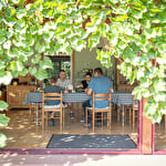 Gîte Rose des Vignes - Jardin