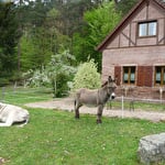 Gîte La Fermette