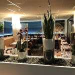 Restaurant Alba