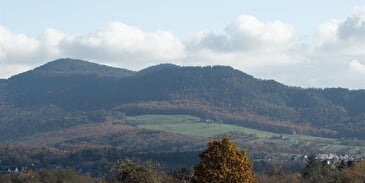 Chez Germaine