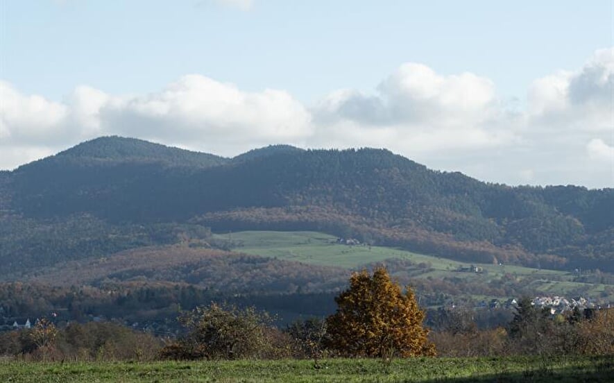 Chez Germaine