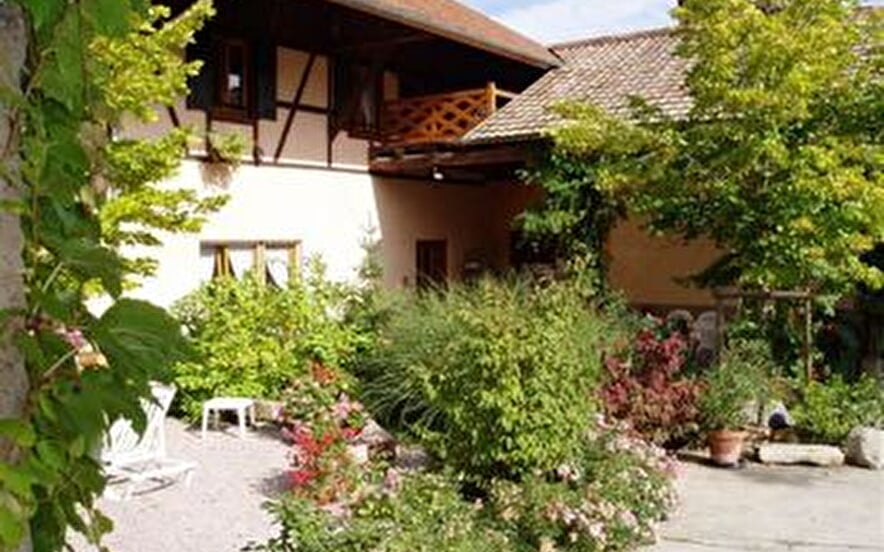 Holiday apartment La Glycine - A la Cour Zaepffel