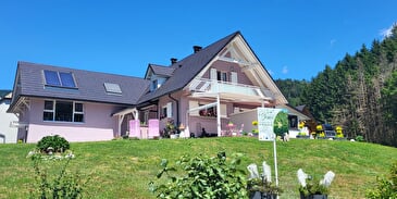L’écrin du Sternsee