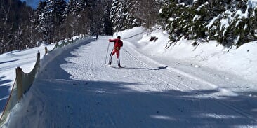 NORDIC AREA VAN VENTRON