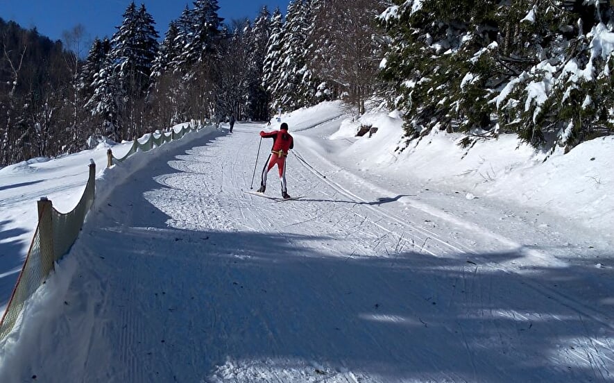 NORDIC AREA VAN VENTRON