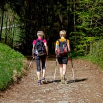 Escapade VTT électrique, randonnée en forêt vosgienne et spa