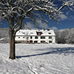 Ferme du Schoultzbach - Gite chez Justine