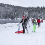 Sledge in the Valley of Munster