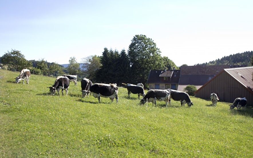 Ferme Neumann