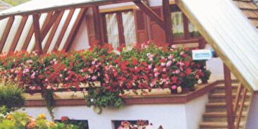 Gîte Monsieur Jean BIEHLER