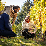 La Parenthèse Vigneronne ''Grand Crus d'Alsace et fromages''