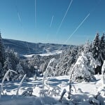Luge aux Bagenelles