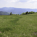 Balade en famille : Station du Markstein et Route des Crêtes