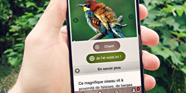 Ecobalade à Fougerolles-Saint-Valbert